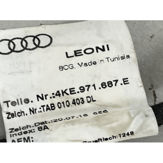 Проводка задньої дверки AUDI E-Tron 4KE971687E 2019-