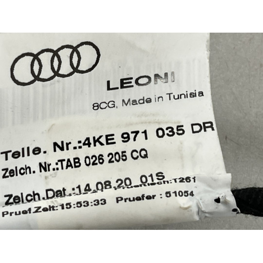 Проведення дверей AUDI E-Tron 4KE971035DR 2019-